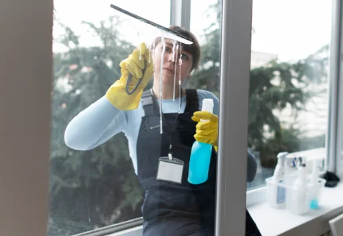 Nettoyage de vitres intérieures et extérieures à Saint-Aubin-du-Plain